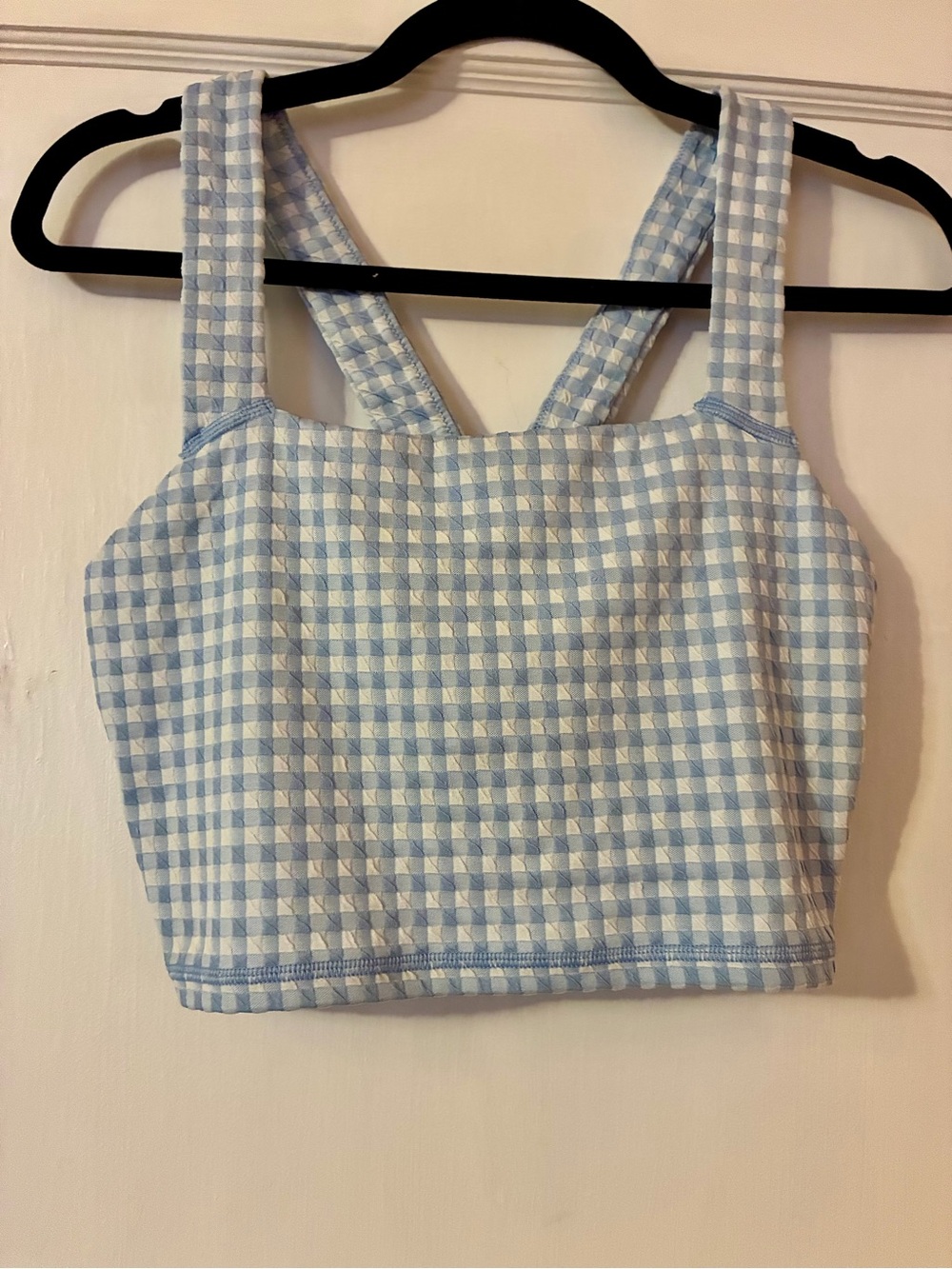 aerie Light Blue & White Gingham Cropped Tank